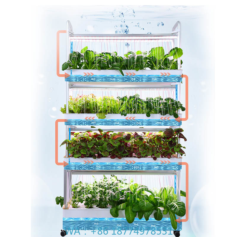 ydroponic Planting System Smar - Home Automation System Diy incelemesi ve fiyatı