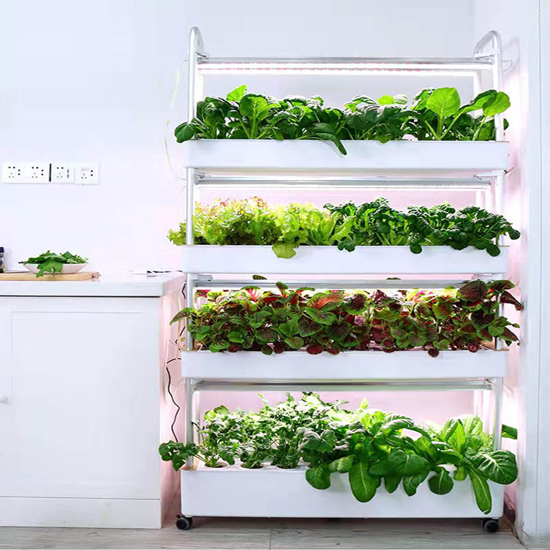 ydroponic Planting System Smar - Home Automation System Diy incelemesi ve fiyatı