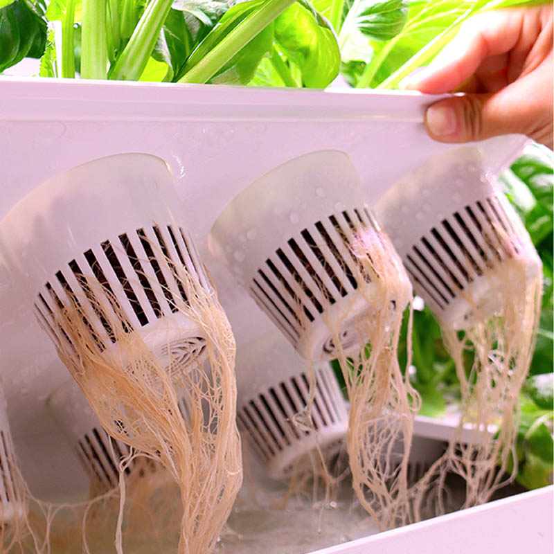 ydroponic Planting System Smar - Home Automation System Diy incelemesi ve fiyatı