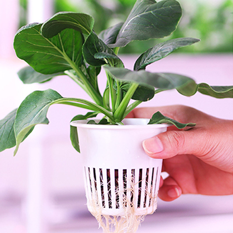 ydroponic Planting System Smar - Home Automation System Diy incelemesi ve fiyatı