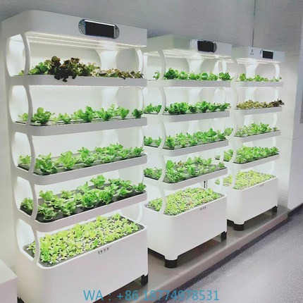 Hydroponic Automated Grow Syst - Home Automation System Diy incelemesi ve fiyatı